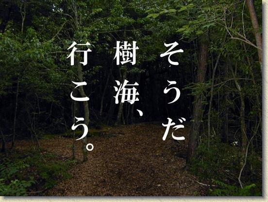 Next slide