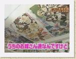 165 * 640 x 480 * (50KB)