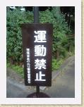 227 * 480 x 640 * (61KB)